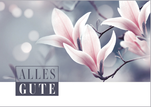 Postkarte Augenblicke der Besinnung - Grußkarte Magnolie