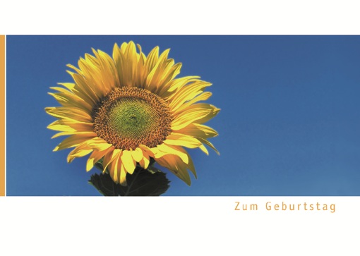 Postkarte Augenblicke der Besinnung – Geburtstag Sonnenblume